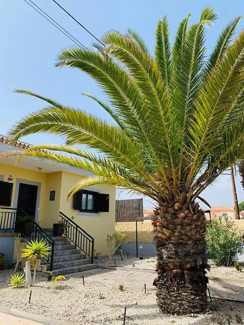 Vivienda Vacacional Tinizara Arona  Villa Arona (Tenerife)